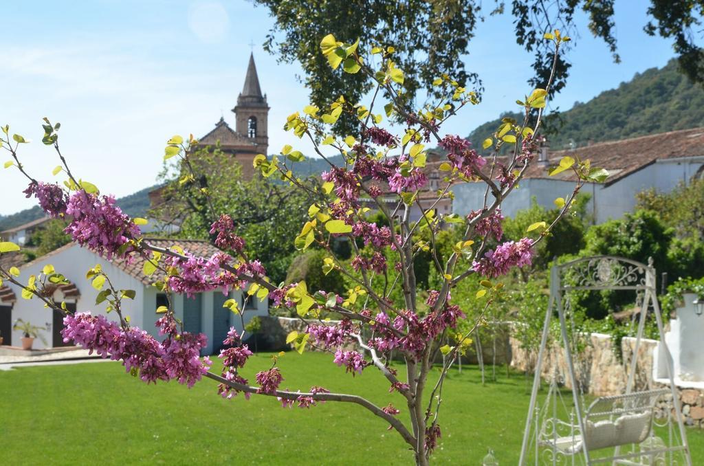 Casona Del Duende Guest House Alajar Ngoại thất bức ảnh